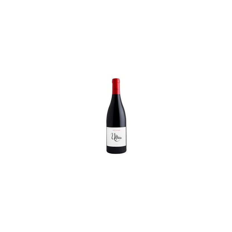 ULTREIA SAINT JACQUES