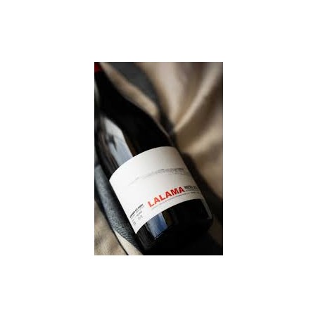 LALAMA RIBEIRA SACRA MENCIA