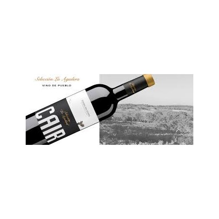 RIBERA DEL DUERO CAIR LA AGILERA
