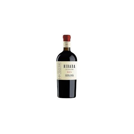 MENCIA RIBADA SELECCION
