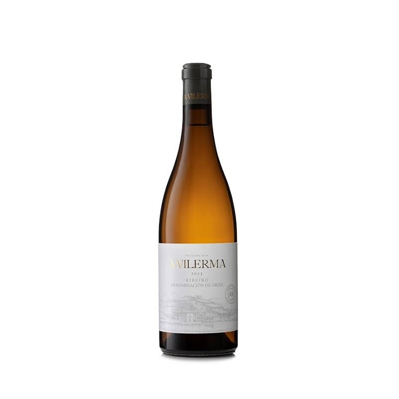A VILERMA RIBEIRO