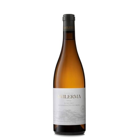 A VILERMA RIBEIRO