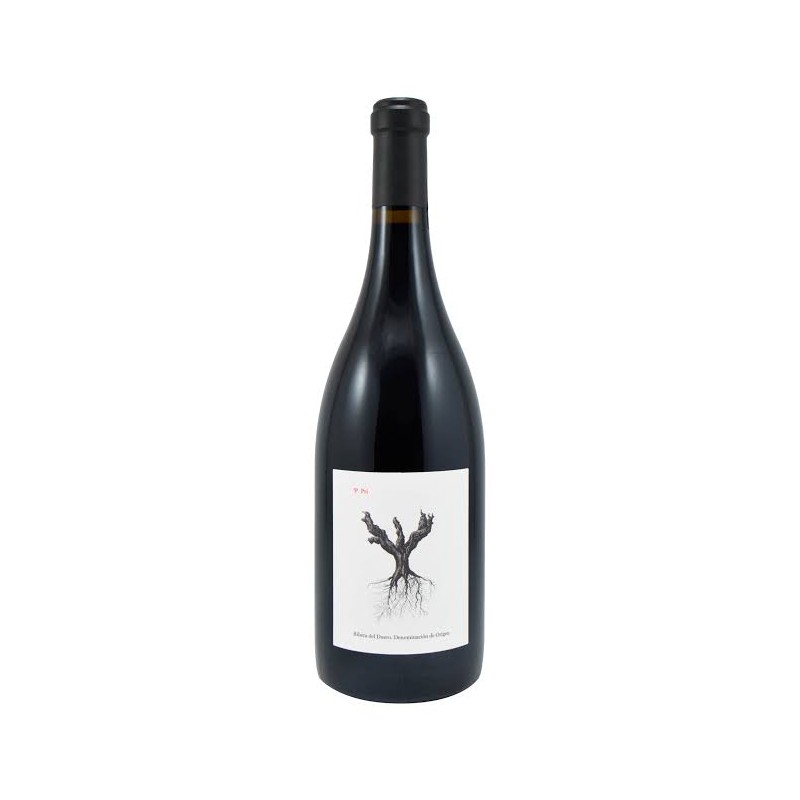 PSI RIBERA DEL DUERO