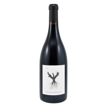 PSI RIBERA DEL DUERO
