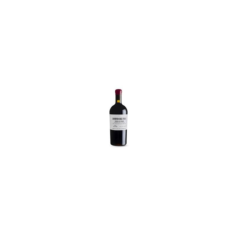 DOMINIO DEL PIDIO RIBERA DEL DUERO