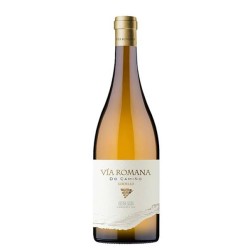 Vía Romana GODELLO