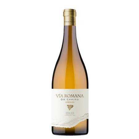 Vía Romana GODELLO