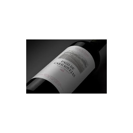 RIBERA DEL DUERO PAGO CARRAOVEJAS