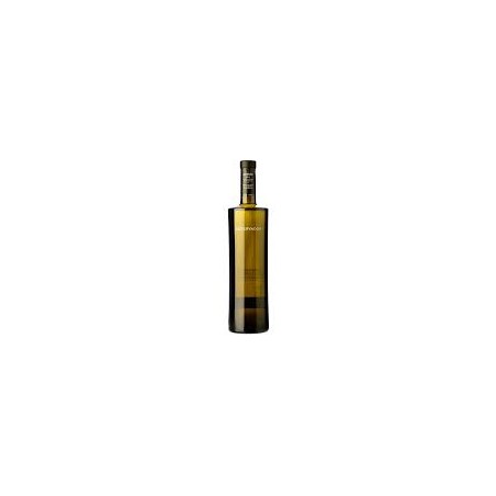 DAVIDE OBSERVADOR ALBARIÑO GODELLO