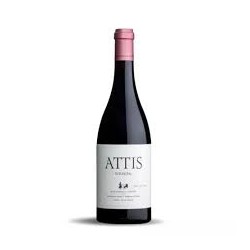ATTIS BRANCELLAO