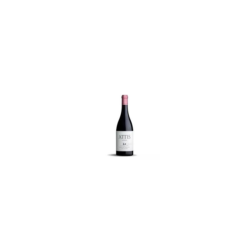 ATTIS BRANCELLAO