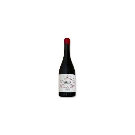 COTARELO CASTES TINTO