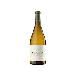 COTARELO GODELLO