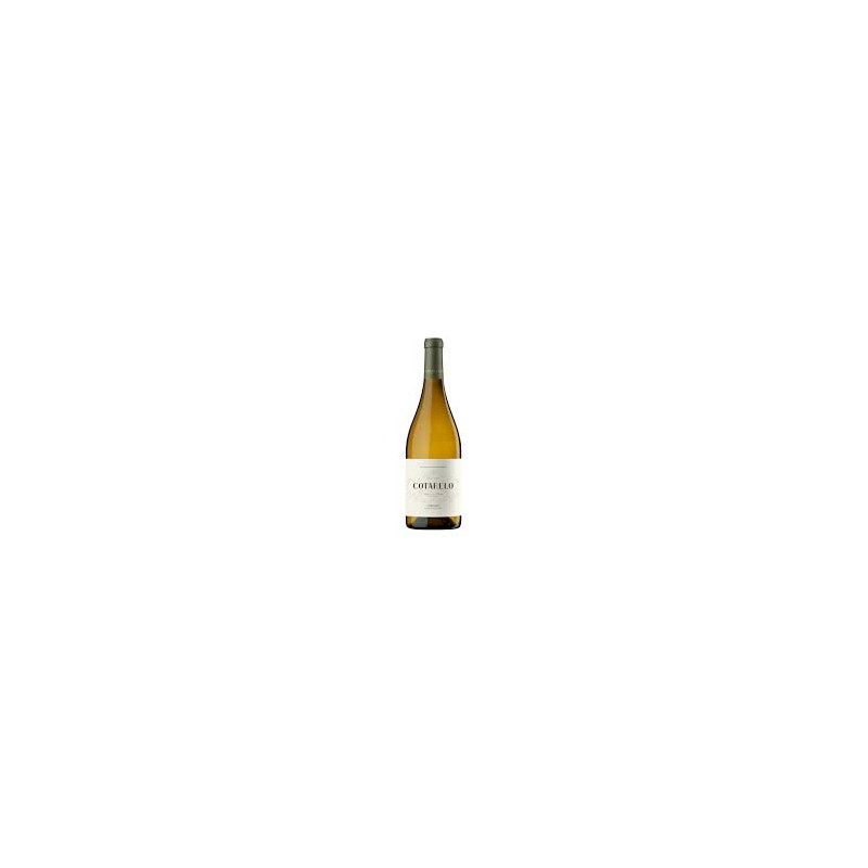 COTARELO GODELLO