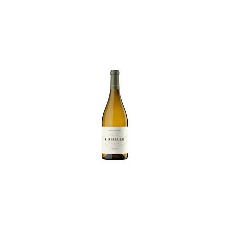 COTARELO GODELLO