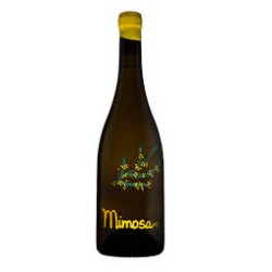 GODELLO MIMOSA