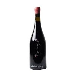 MENCIA AMORODOS