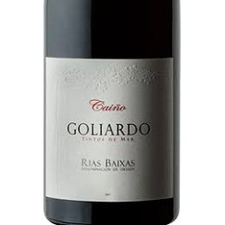 GOLIARDO CAIÑO FORJAS DEL...