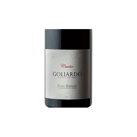 GOLIARDO CAIÑO FORJAS DEL SALNES