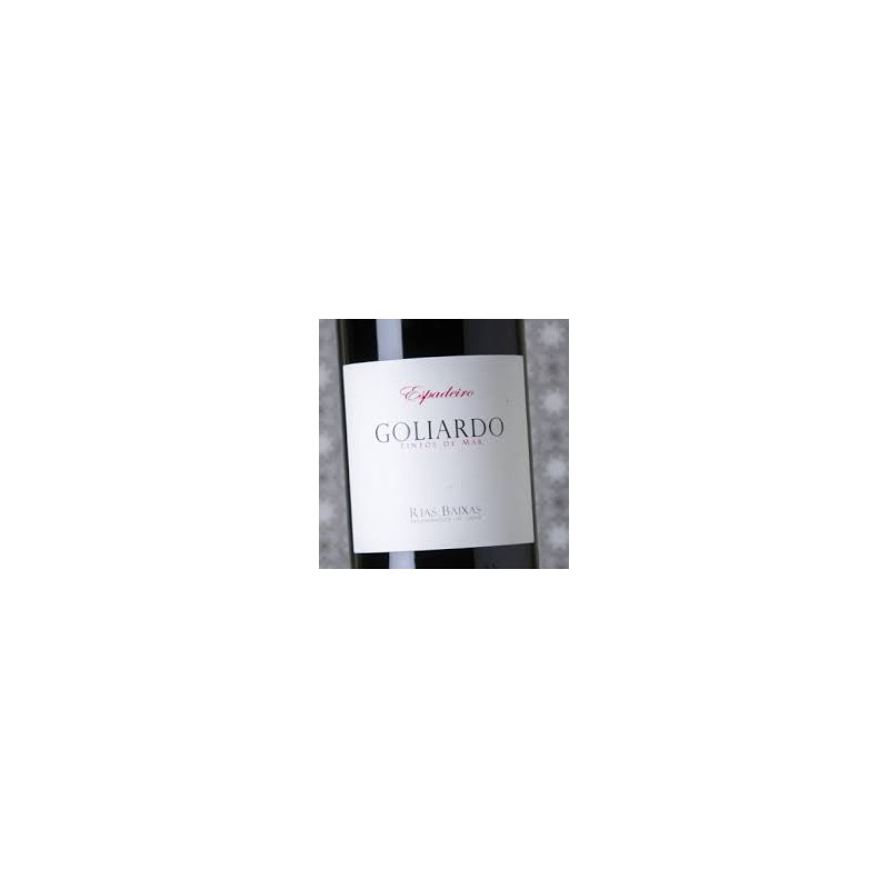 GOLIARDO ESPADEIRO FORJAS DEL SALNES