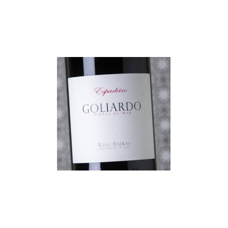 GOLIARDO ESPADEIRO FORJAS DEL SALNES